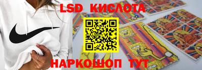 шишки Изобильный