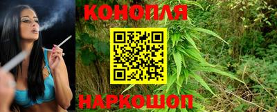 шишки Изобильный