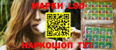 шишки Изобильный