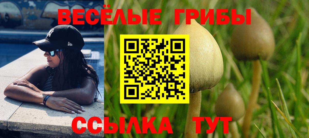 Псилоцибиновые грибы мицелий Лесосибирск