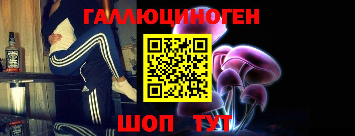 Псилоцибиновые грибы Psilocybine cubensis  Вход с VPN  Лесосибирск  Псилоцибиновые грибы Psilocybe 